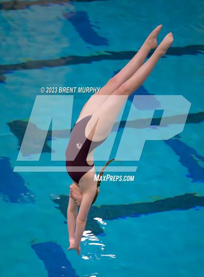 Thumbnail 3 in Legacy Invite (Diving) photogallery.