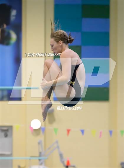 Thumbnail 1 in Legacy Invite (Diving) photogallery.
