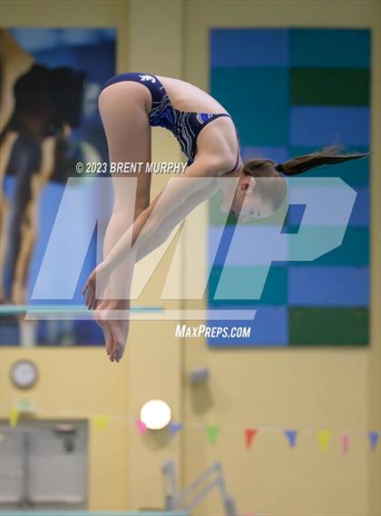 Thumbnail 2 in Legacy Invite (Diving) photogallery.