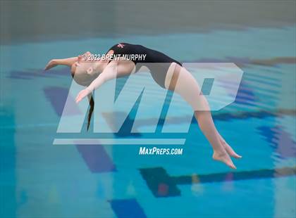 Thumbnail 3 in Legacy Invite (Diving) photogallery.