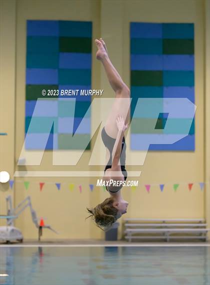 Thumbnail 1 in Legacy Invite (Diving) photogallery.