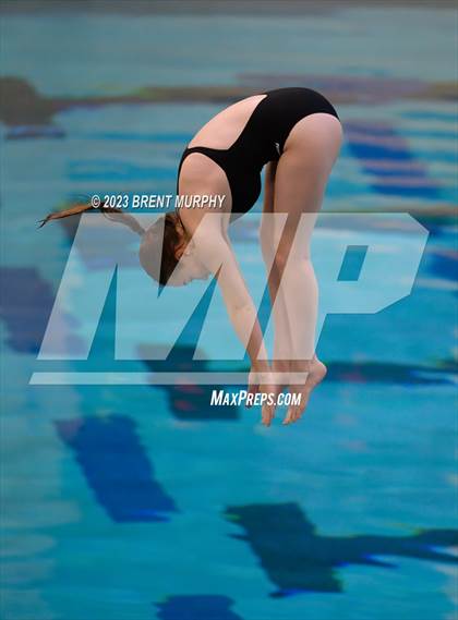 Thumbnail 3 in Legacy Invite (Diving) photogallery.