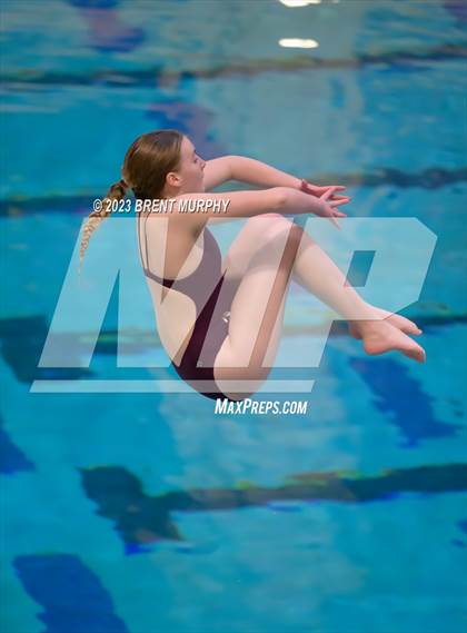 Thumbnail 2 in Legacy Invite (Diving) photogallery.