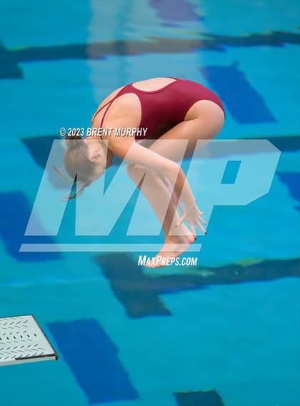 Thumbnail 1 in Legacy Invite (Diving) photogallery.