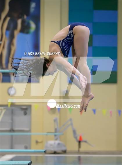 Thumbnail 2 in Legacy Invite (Diving) photogallery.
