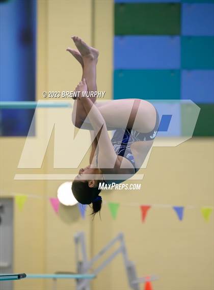 Thumbnail 2 in Legacy Invite (Diving) photogallery.
