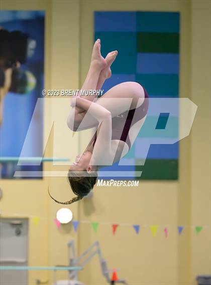 Thumbnail 2 in Legacy Invite (Diving) photogallery.