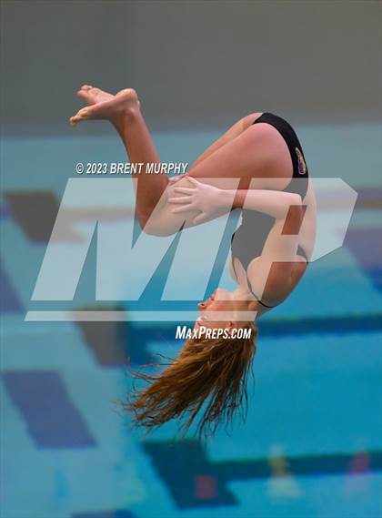 Thumbnail 1 in Legacy Invite (Diving) photogallery.