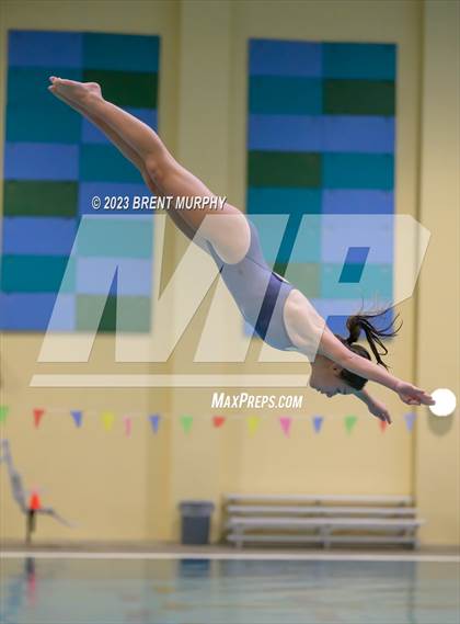 Thumbnail 2 in Legacy Invite (Diving) photogallery.