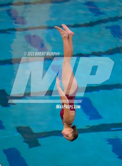 Thumbnail 1 in Legacy Invite (Diving) photogallery.