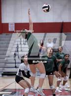 Photo from the gallery "Cypress Ridge @ Memorial"