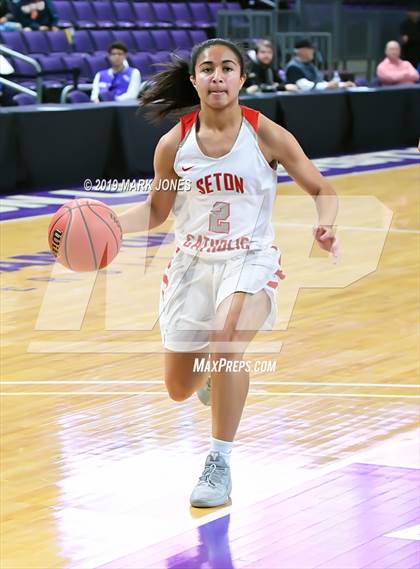 Thumbnail 2 in Mesquite vs. Seton Catholic (AIA 4A Semifinal) photogallery.