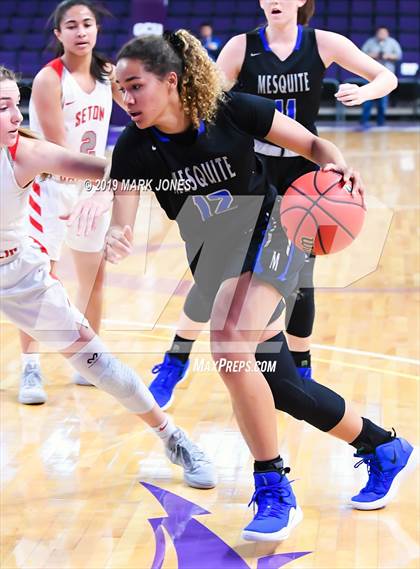 Thumbnail 1 in Mesquite vs. Seton Catholic (AIA 4A Semifinal) photogallery.