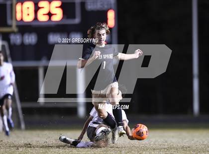 Thumbnail 3 in Panther Creek @ Holly Springs photogallery.