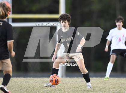 Thumbnail 3 in Panther Creek @ Holly Springs photogallery.