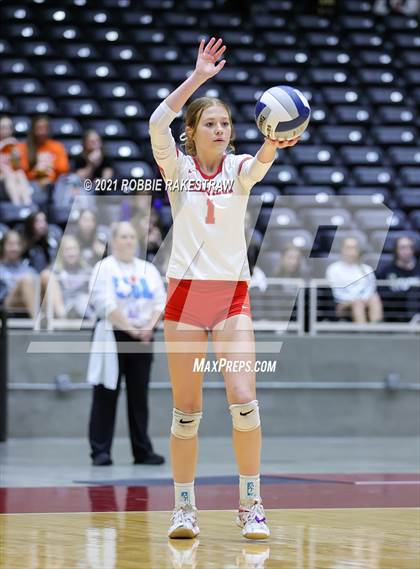 Thumbnail 1 in Bellville vs. Decatur (UIL Volleyball 4A Semifinals) photogallery.