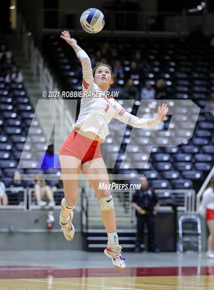 Thumbnail 2 in Bellville vs. Decatur (UIL Volleyball 4A Semifinals) photogallery.