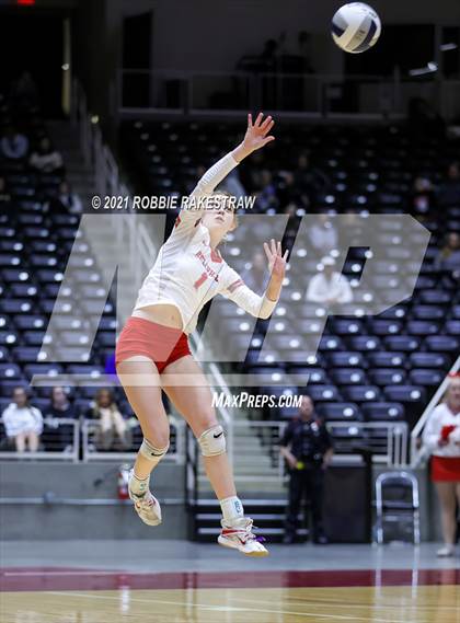 Thumbnail 2 in Bellville vs. Decatur (UIL Volleyball 4A Semifinals) photogallery.
