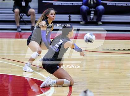 Thumbnail 3 in Bellville vs. Decatur (UIL Volleyball 4A Semifinals) photogallery.