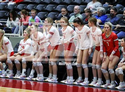 Thumbnail 1 in Bellville vs. Decatur (UIL Volleyball 4A Semifinals) photogallery.