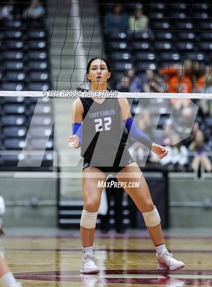 Thumbnail 1 in Bellville vs. Decatur (UIL Volleyball 4A Semifinals) photogallery.