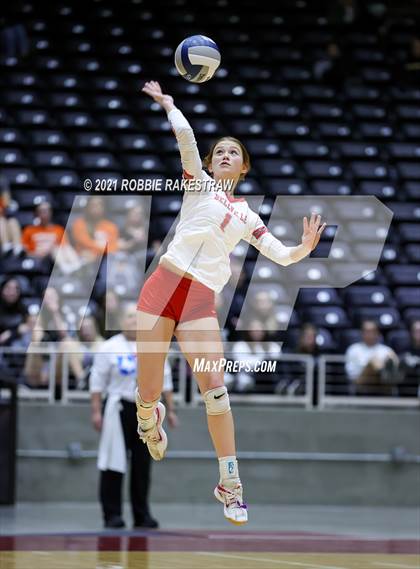 Thumbnail 3 in Bellville vs. Decatur (UIL Volleyball 4A Semifinals) photogallery.