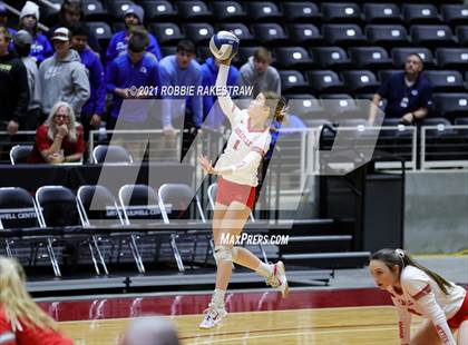 Thumbnail 1 in Bellville vs. Decatur (UIL Volleyball 4A Semifinals) photogallery.