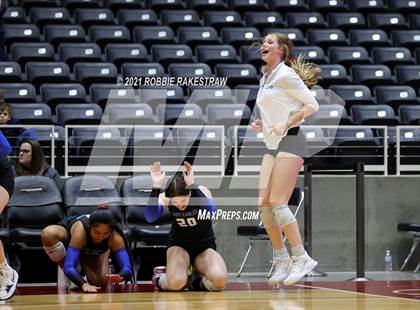Thumbnail 1 in Bellville vs. Decatur (UIL Volleyball 4A Semifinals) photogallery.