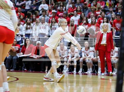 Thumbnail 3 in Bellville vs. Decatur (UIL Volleyball 4A Semifinals) photogallery.
