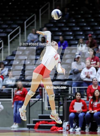 Thumbnail 1 in Bellville vs. Decatur (UIL Volleyball 4A Semifinals) photogallery.