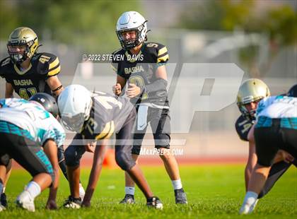 Thumbnail 1 in Highland @ Basha (B-Team) photogallery.