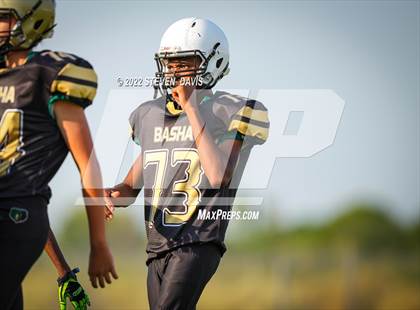 Thumbnail 1 in Highland @ Basha (B-Team) photogallery.