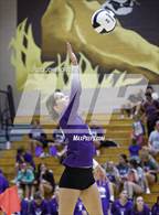Photo from the gallery "Carroll @ Leo"