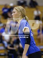 Photo from the gallery "Carroll @ Leo"