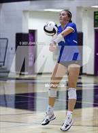 Photo from the gallery "Carroll @ Leo"