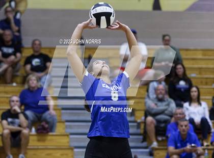 Thumbnail 3 in Carroll @ Leo photogallery.