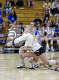 Photo from the gallery "Carroll @ Leo"