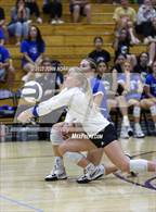 Photo from the gallery "Carroll @ Leo"