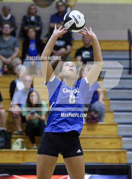 Thumbnail 3 in Carroll @ Leo photogallery.