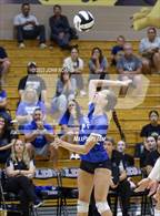Photo from the gallery "Carroll @ Leo"