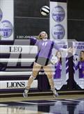 Photo from the gallery "Carroll @ Leo"