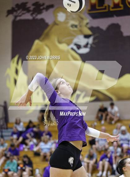 Thumbnail 2 in Carroll @ Leo photogallery.