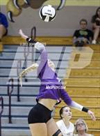 Photo from the gallery "Carroll @ Leo"