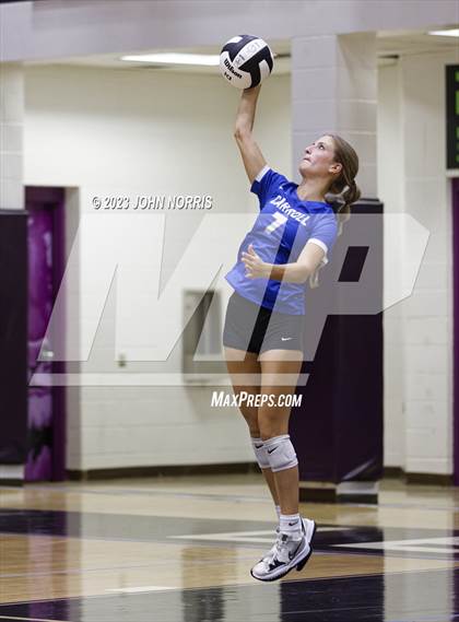 Thumbnail 2 in Carroll @ Leo photogallery.