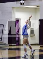 Photo from the gallery "Carroll @ Leo"