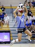 Photo from the gallery "Carroll @ Leo"