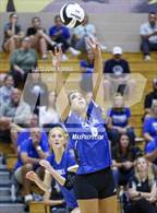 Photo from the gallery "Carroll @ Leo"