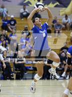 Photo from the gallery "Carroll @ Leo"