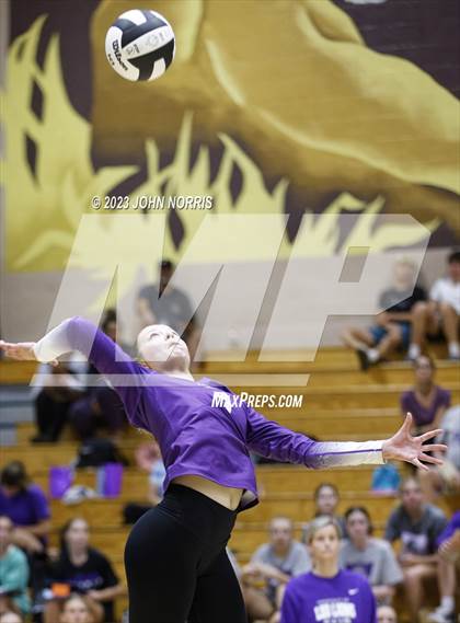 Thumbnail 3 in Carroll @ Leo photogallery.