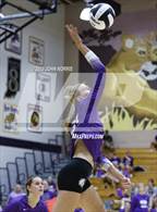 Photo from the gallery "Carroll @ Leo"